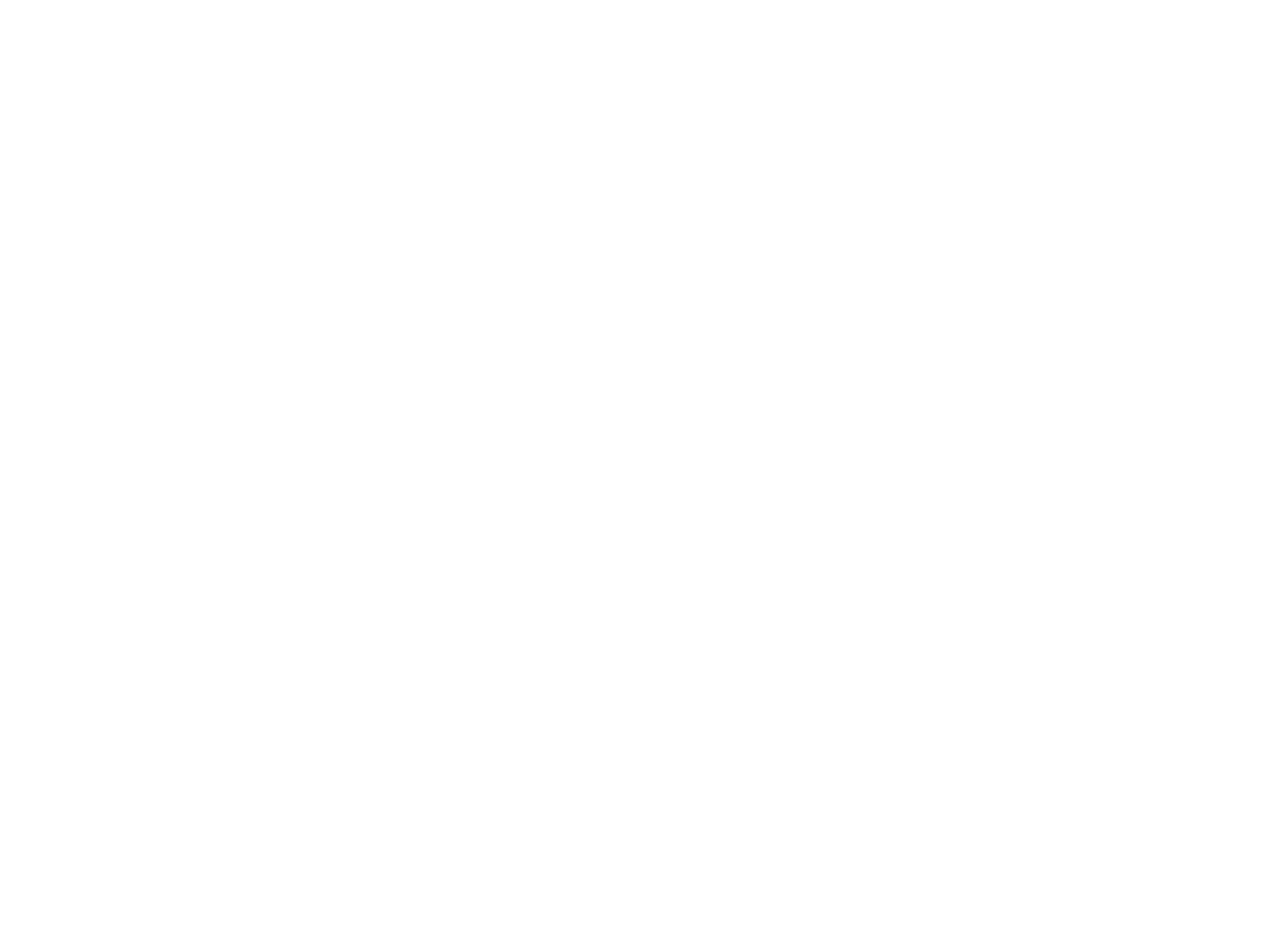 Autoescola Fênix